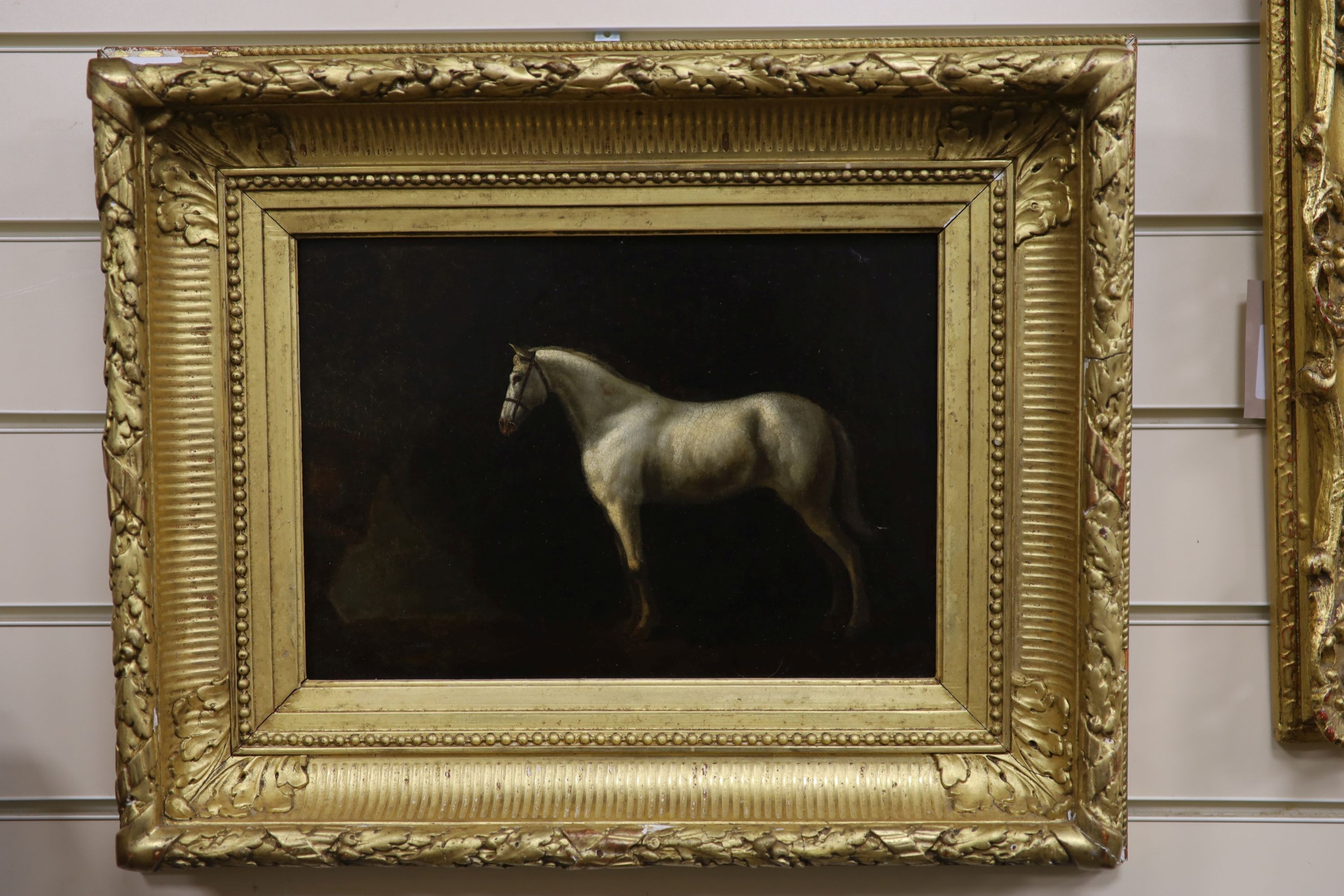 19th century English School, oil on panel, study of a grey horse, 22 x 32cm.